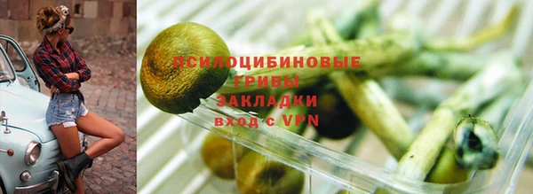 jwh Зерноград
