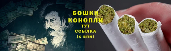 мдпв Зеленодольск