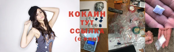 мдпв Зеленодольск
