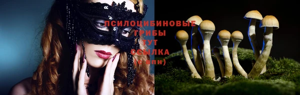 мдпв Зеленодольск