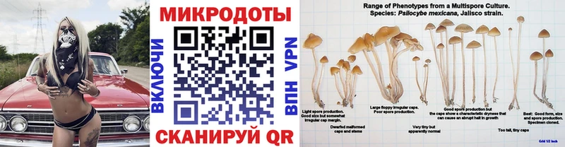 Галлюциногенные грибы мухоморы Истра