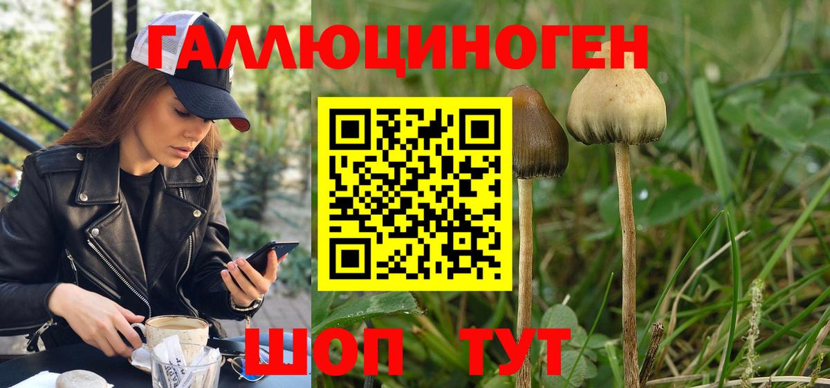 Галлюциногенные грибы GOLDEN TEACHER Истра