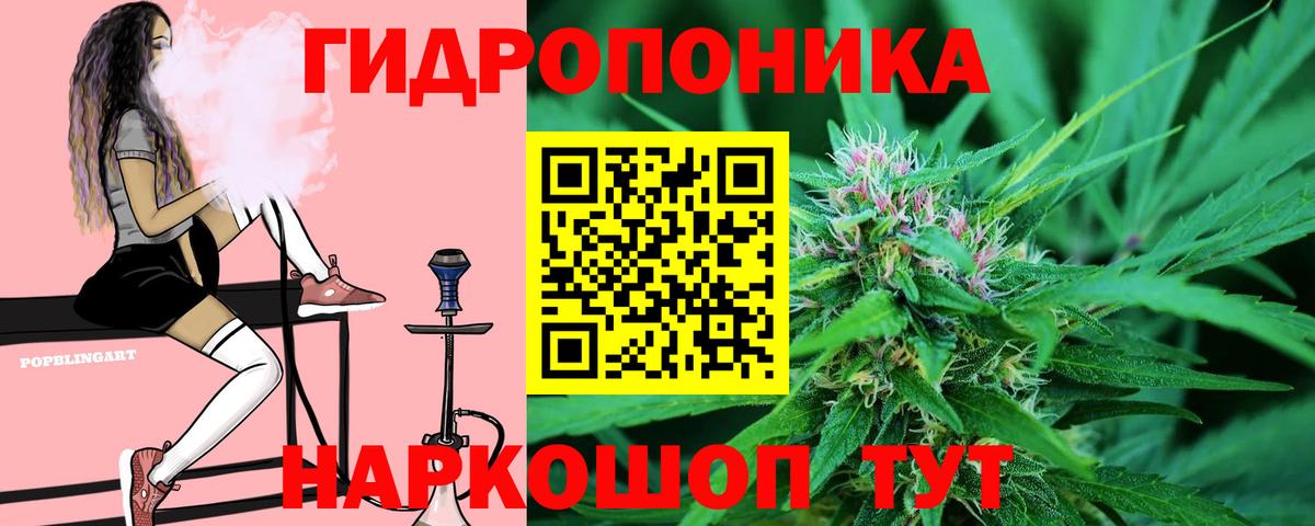 Бошки Шишки план Истра
